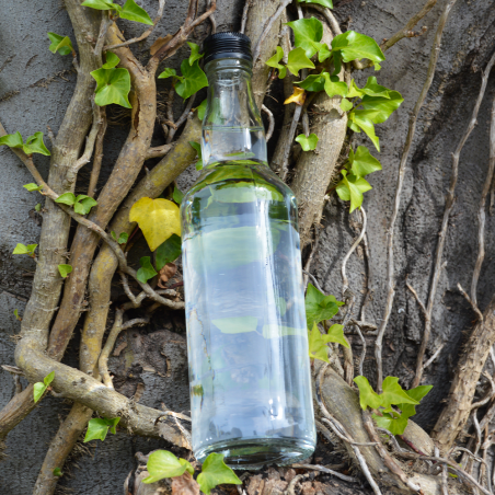 Garrafa plutão 500ml