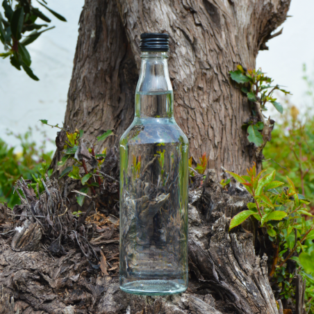 Garrafa plutão 500ml