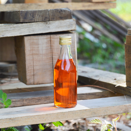 Botella Hydra Reborn 50ml 5cl