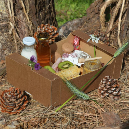 Cassetta 320x220x100mm Kraft