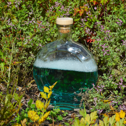Bouteille en verre Horus 500ml