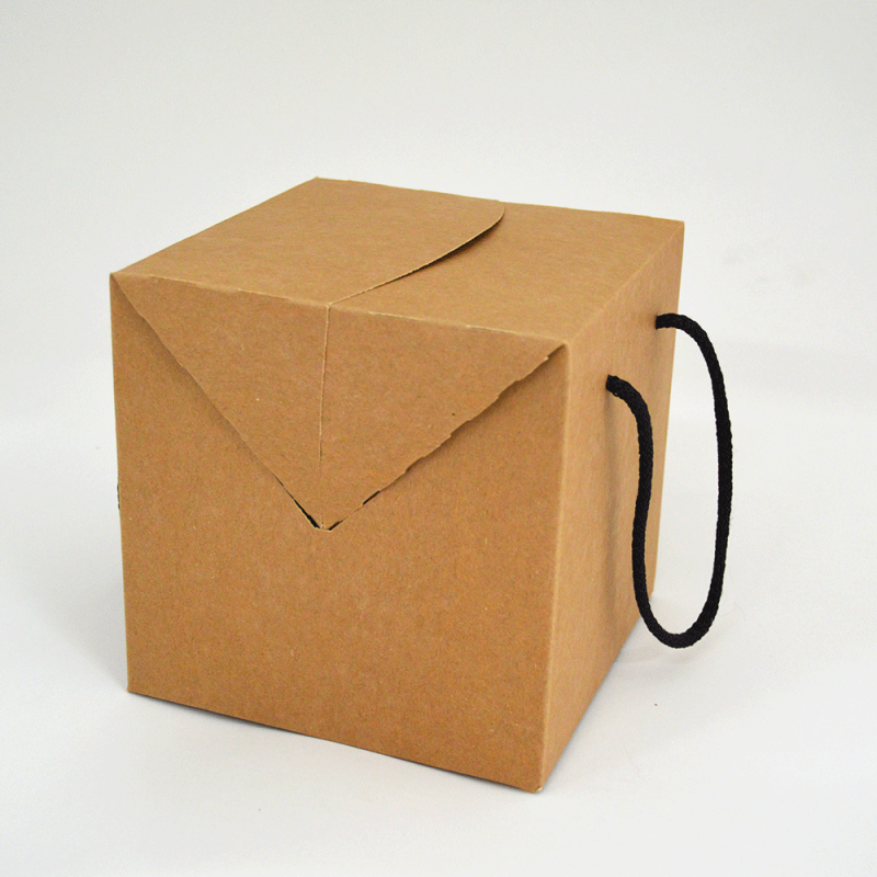 Caixa de Cartão Box cor natural medidas 200x200x200mm