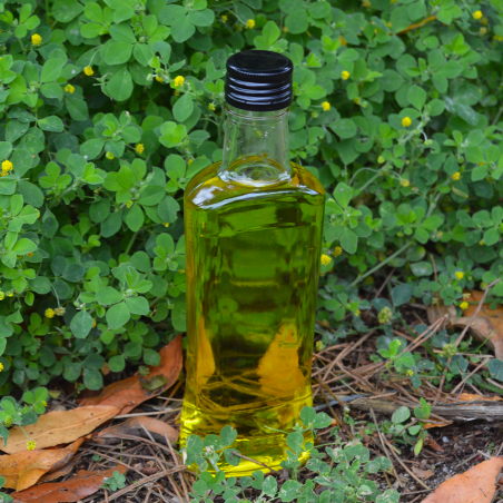 Bottiglia Harpia 200ml 20cl