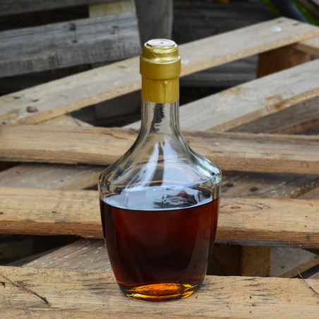 Glasflasche Lince 500ml