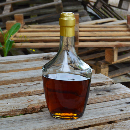 Glasflasche Lince 500ml