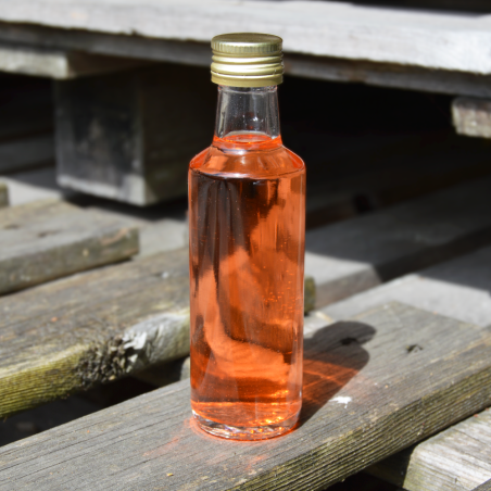 Garrafa miniatura lotus 100ml 10cl