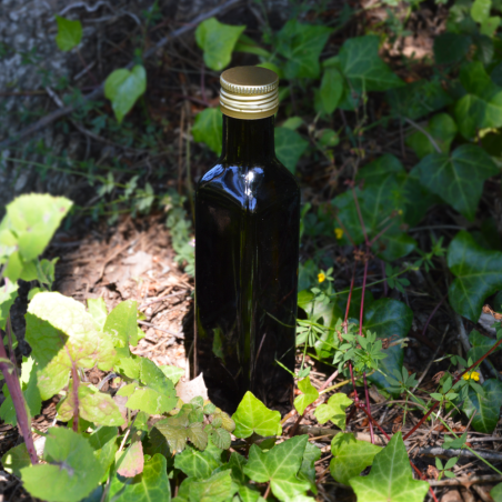 Glasflasche Orquidea Escura 250ml