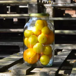 Gross Bocal en Verre 4 litros II