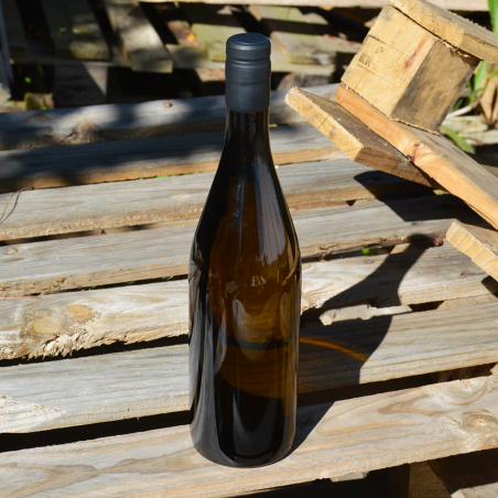 Glasflasche Espumante escura 750ml