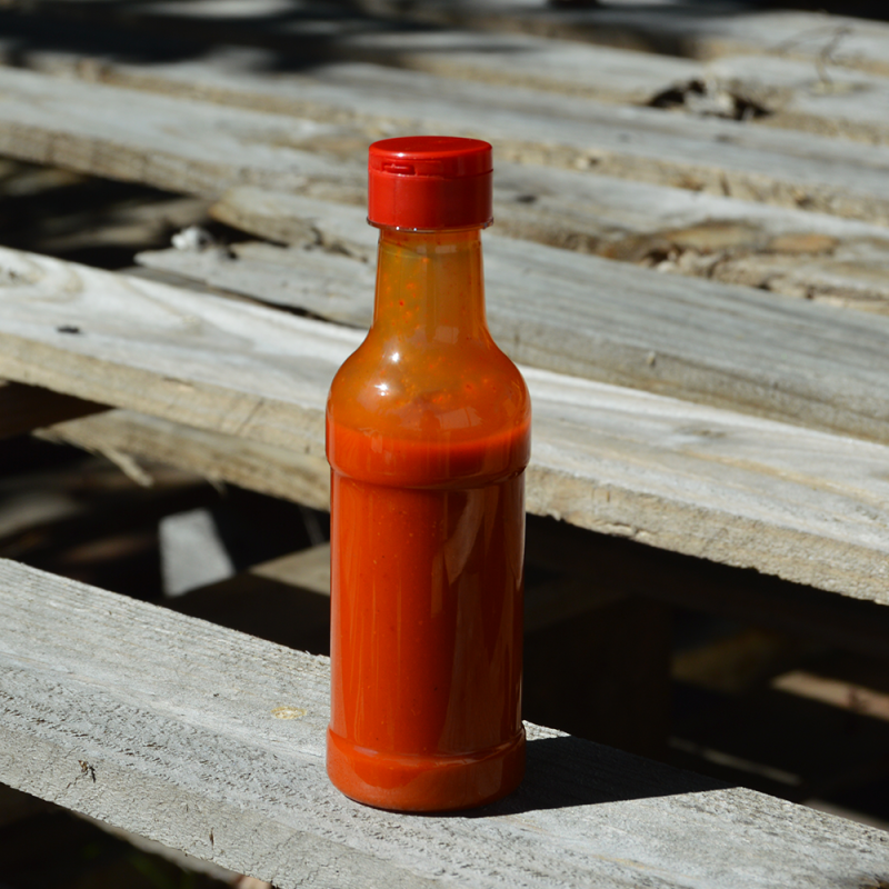 Flacon PET de 100 ml pour gel désinfectant.