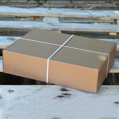 Express gourmet 400x300x100mm