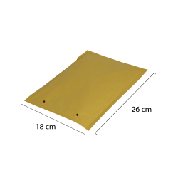 Envelope Plastic Bubble