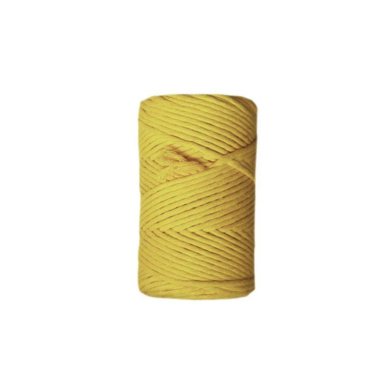 Fio Macrame urdimbre 9mm 75m Pineapple yellow