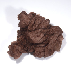 Papier de Soie Deep Hazel 50x75cm