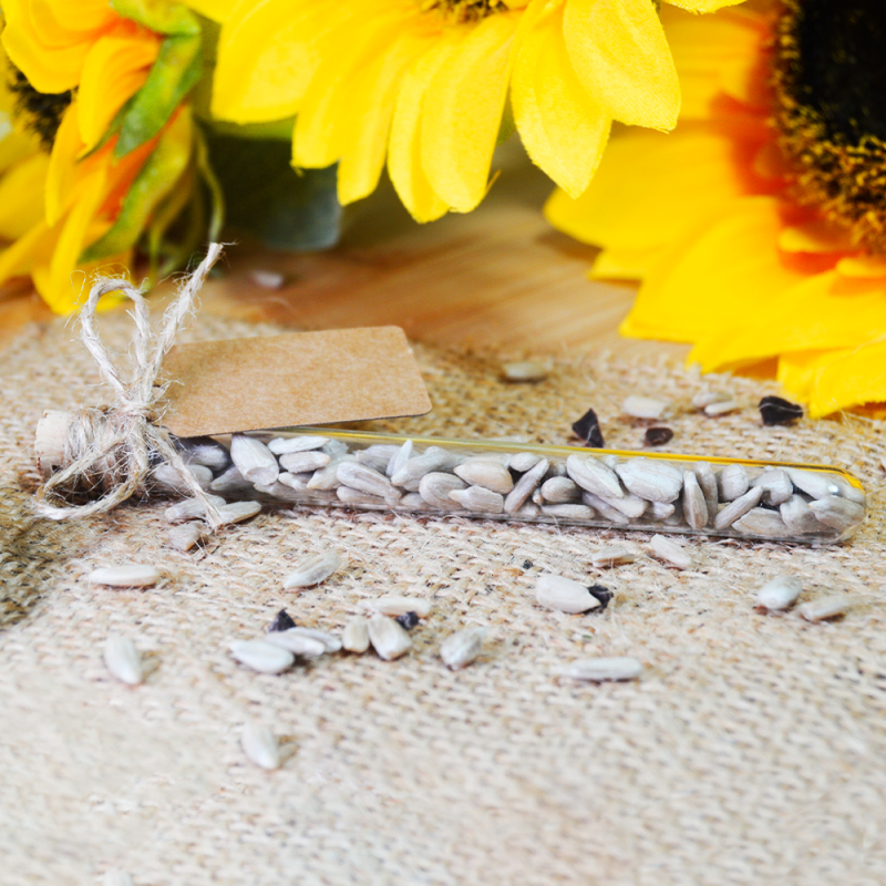 Provetta vetro 12x72mm