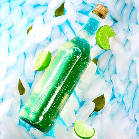 Garrafas de vidro para licores Plutão Reborn 500ml