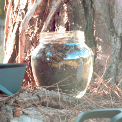 Tarros de cristal Jarro 1,7 litros Tarros de cristal Jarro 1,7 litros
