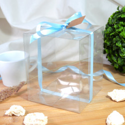 Caja de acetato rectangular transparente 100x100x120mm