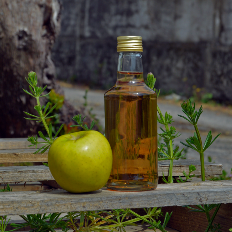 Bottiglia Plutão 250ml