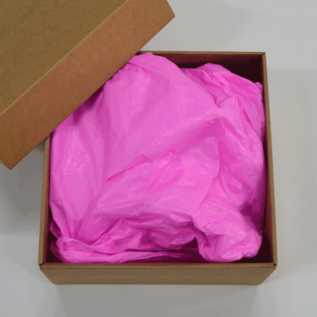 Papel Seda Flamingo Pink 50x75cm