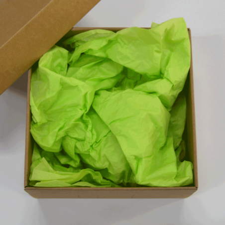 Papel Seda New Leaft Green 50x75cm