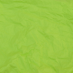Papier Soie New Leaft Green 50x75cm