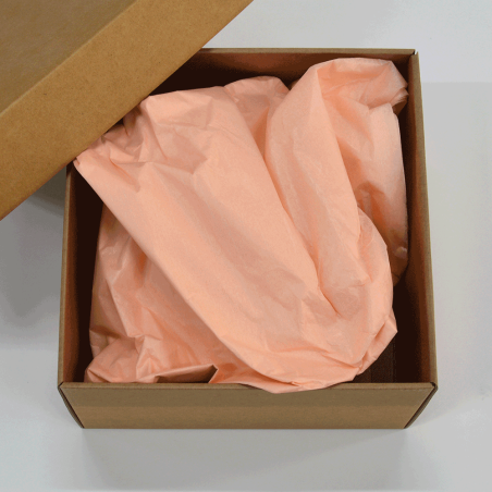 Papel Seda Salmon Pastel 50x75cm