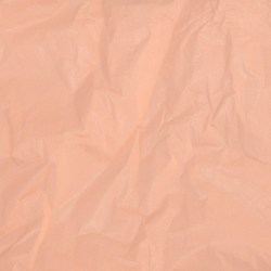 Papel Seda Salmon Pastel 50x75cm