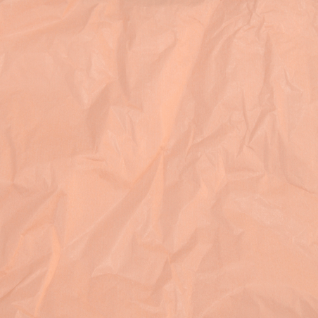 Papier Soie Salmon Pastel 50x75cm