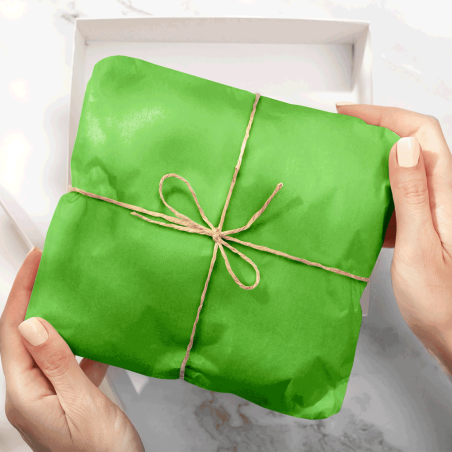 Papel Seda Mint Green 50x75cm