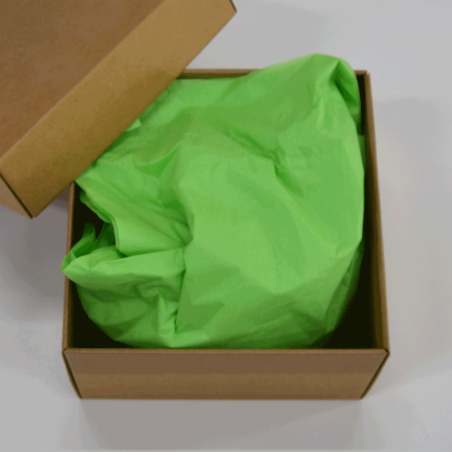 Papel Seda Mint Green 50x75cm