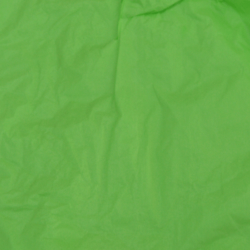 Papel Seda Mint Green 50x75cm