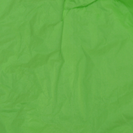 Papier Soie Mint Green 50x75cm