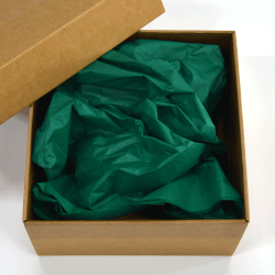 Papel Seda Forest Green 50x75cm