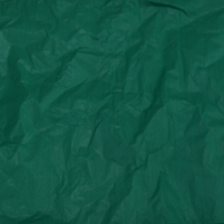 Papel Seda Forest Green 50x75cm