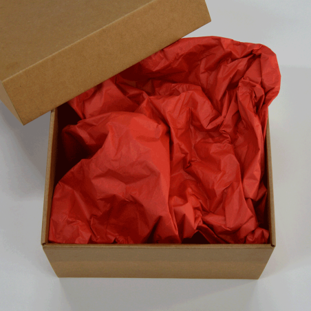 Papel Seda Infinitum Red 50x75cm