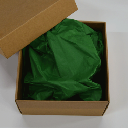 Papel Seda Jungle Green 50x75cm