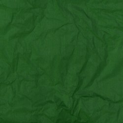 Papier Soie Jungle Green 50x75cm