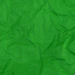 Papier Soie Amazon Green 50x75cm