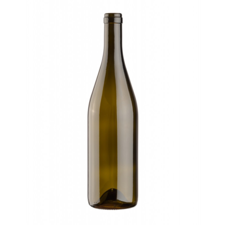 Bouteille de champagne vert 750ml 