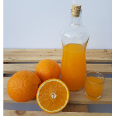 Garrafa Premium 840ml 