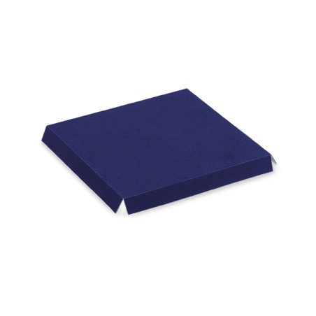 VELLUTO BLU fundos 100x100