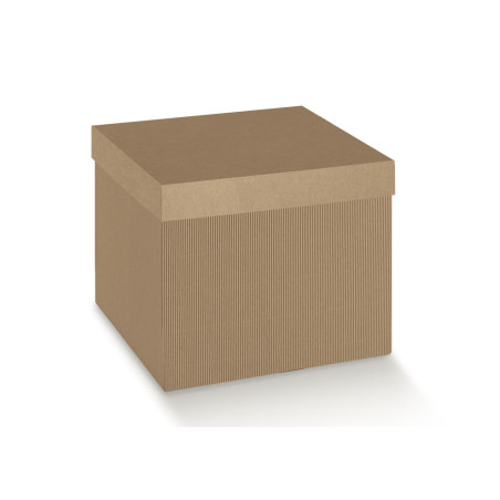 F/CECON 250X250X300 ON.AVANA