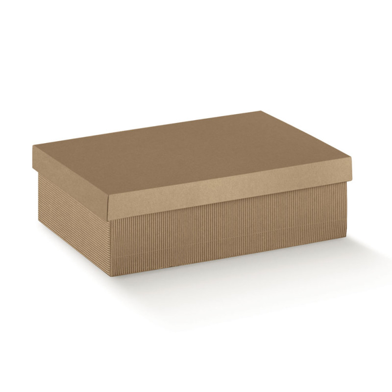 F/C-DP 240X170X100 ON.AVANA