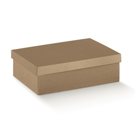 F/C-DP 240X170X100 ON.AVANA