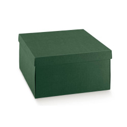 F/CECON 300X300X240 SETA VERDE