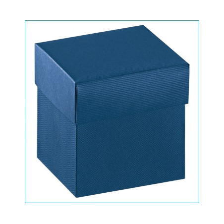 F/C-EC 140X140X110 BLU SCIA