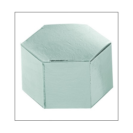 ESAGONO 60X30 ARGEN.LARI